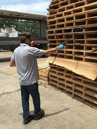 Trabajo de desinsectación en empresa