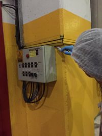 Servicio de desinsectación industrial